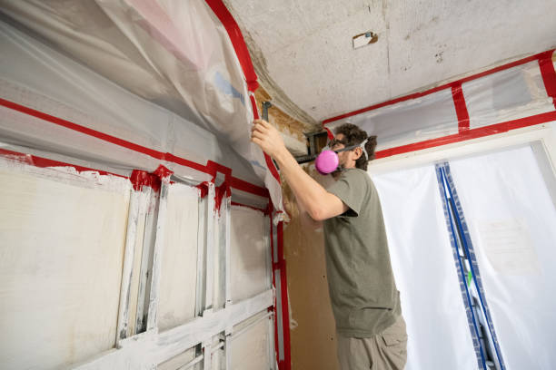 Best Asbestos and Lead Testing During Mold Inspection  in Chocowinity, NC