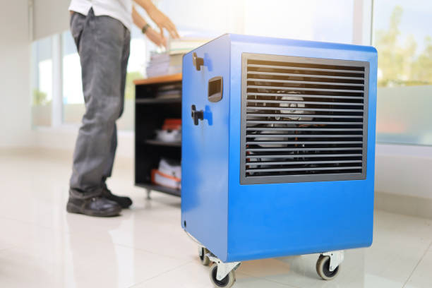 Best Mold Odor Removal Services  in Chocowinity, NC